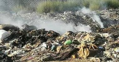 انتشار القمامة بمنطقة فلسطين بالعامرية يزعج السكان.. صور 