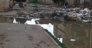 القمامة والصرف الصحى تحاصر شوارع المحلة بالغربية