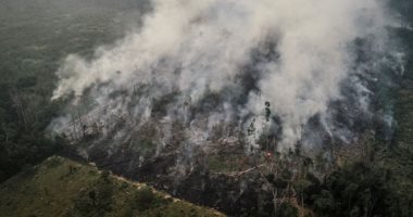 مسئول برازيلى: تدمير الأمازون لم يأخذ وقت ولكن إعادة تشجيرها تتطلب سنوات 