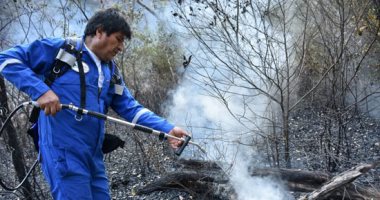 صور.. أثار كارثية بسبب حرائق الغابات فى بوليفيا وتفحم عشرات الحيوانات