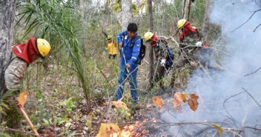 رئيس بوليفيا يشارك رجال الإطفاء فى السيطرة على حرائق الغابات
