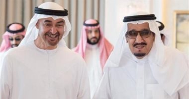 وزير إماراتى: نؤمن بضرورة تعزيز التعاون المشترك مع السعودية 