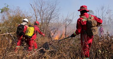 رجال الإطفاء يستمرون فى عملهم فى غابات الأمازون التى التهمتها الحرائق