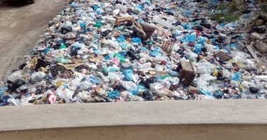 صورة.. تراكم القمامة فى شوارع العجمى بالأسكندرية