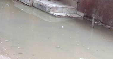 شكوى من غرق شارع أبو سعدة بالخصوص بمياه الصرف الصحى