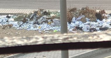 شكوى من انتشار القمامة بشارع زكريا أحمد فى التجمع الأول