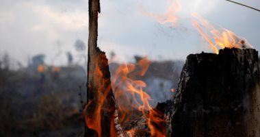 استمرار جهود مكافحة حرائق غابات الأمازون والنيران تحاصر مئات الحيوانات
