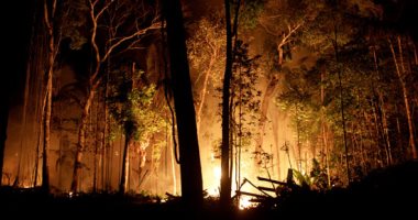 الحرائق تواصل تقدمها فى غابات الأمازون