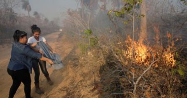 صور.. المواطنون فى بوليفيا يشاركون فى إخماد حرائق الغابات وينقذون الحيوانات