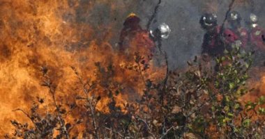 خبراء: الحرائق ليست التهديد الوحيد أمام غابات الأمازون 