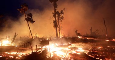 تقرير: زيادة حرائق غابات الأمازون الثلث مقارنة بالعام الماضى