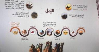 جولة بالصور فى متحف الهجن بالطائف.. محاكاة سعودية لتاريخ الإبل