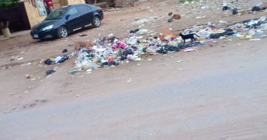 قارئ يشكو من انتشار القمامة بمنطقة المرور بمدينة السلام