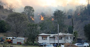 حرائق الغابات تلتهم المنازل والأشجار فى عدة ولايات باستراليا