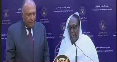 وزير الخارجية: توجيهات الرئيس السيسى ألا ندخر جهدا لاستمرار العمل مع السودان