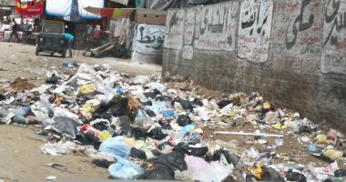 صور.. اضبط مخالفة: انتشار القمامة يهدد بكارثة بيئية فى شوارع المحلة