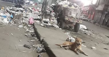 قارئ يشكو من انتشار القمامة بشارع ترعة السواحل الوراق محافظة الجيزة