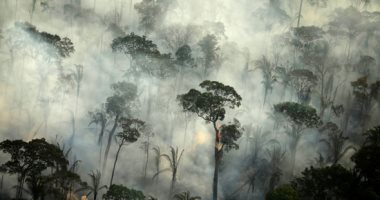 اندلاع حرائق هائلة فى غابات الأمازون بولاية روندونيا بالبرازيل