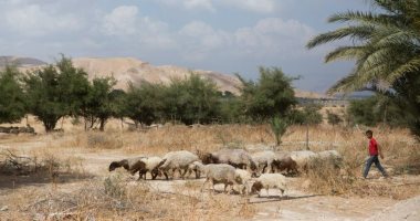 الأردن يستعيد أراضى الباقورة والغمر من إسرائيل.. اعرف قصتهما
