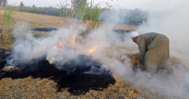 صور ..تحرير محاضر لمزارعون حرقوا قش الأرز بكفر الشيخ