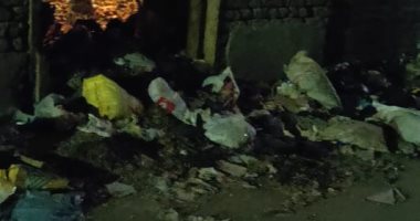 قارئ يشكو من انتشار القمامة بقرية بشلا ميت غمر فى الدقهلية