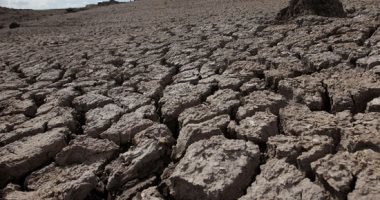 فاينانشيال تايمز: البرازيل تتعرض لأسوء موجة جفاف بينما تكافح لإحتواء كورونا