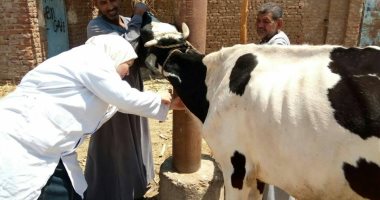 الطب البيطرى يطلق قافلة مجانية بمحافظة كفر الشيخ