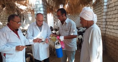 الزراعة: قوافل بيطرية لعلاج الأمراض التناسلية وعمل سونار للماشية 