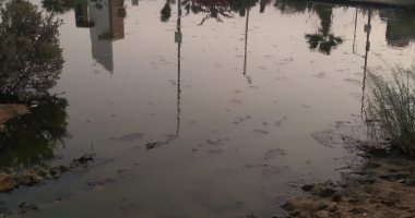 سكان كومبوند أرابيانو يشكون من انتشار مياه الصرف الصحى بميدان كنز