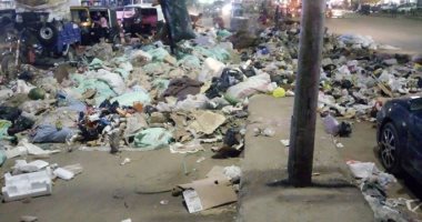 قارئ يشكو من انتشار القمامة بشارع حسين السيد بجسر السويس