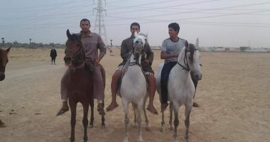 صور.. انطلاق مهرجان الخيول بقصر الباسل فى الفيوم