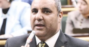 برلمانى: فشل دعوات التخريب يعكس نضج الشعب المصرى والتفافه حول السيسى