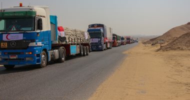 صور.. الهلال الأحمر المصرى: تقديم 587 طن مساعدات مواد غذائية لدولة السودان