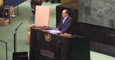 شاهد.. مصر فى الأمم المتحدة إنجازات تتحدث عن نفسها 
