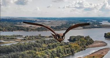 طائرة درون تلتقط صورا مذهلة لصقر فى الطبيعة الأوكرانية الساحرة