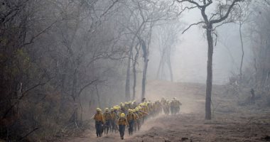 صور.. الجيش البوليفى ينشر دوريات على مناطق دمرتها حرائق الغابات