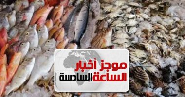 موجز 6.. التموين تطرح الأسماك الطازجة والمجمدة بأسعار مخفضة تصل لـ40%