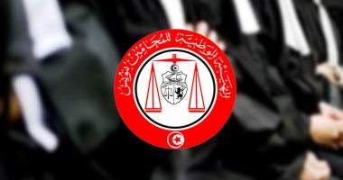عضو الهيئة الوطنيّة للمحامين بتونس: الوقفة الاحتجاجية لضمان استقلال القضاء