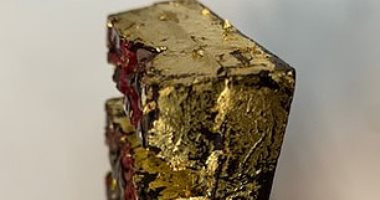  شركة سويسرية تنتج شيكولاتة بالذهب والتوت.. 6 أصابع بـ 25 جنيه إسترلينى