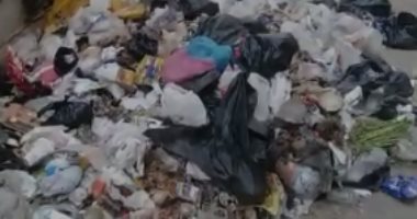 شكوى من انتشار القمامة أسفل كوبرى منطقة البراجيل