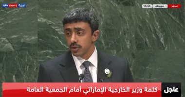 وزير خارجية الإمارات:لن نتخلى عن حقنا فى فرض السيادة على الجزر التى احتلتها إيران