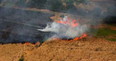 صور.. اتساع رقعة حرائق الغابات فى إندونيسيا.. والنيران تلتهم مئات الأفدنة