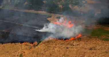 اتساع رقعة حرائق الغابات فى إندونيسيا.. والنيران تلتهم مئات الأفدنة