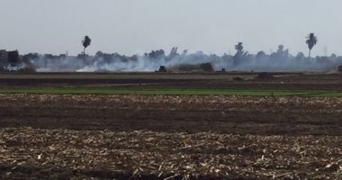 اضبط مخالفة .. المزارعون يحرقون قش الأرز بمدخل قرية برما بطنطا.. صور