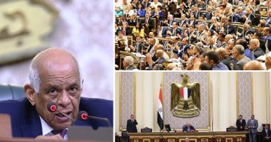 البرلمان يرفض رفع الحصانة عن النائب علاء والى وحساسين والعمدة