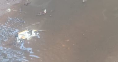 قارئة تشكو انتشار مياه الصرف الصحى بشارع حسن السيد بالبساتين