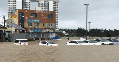 إعصار ميتاج يضرب سواحل لكوريا الجنوبية ويتسبب فى سقوط أمطار وفيضانات