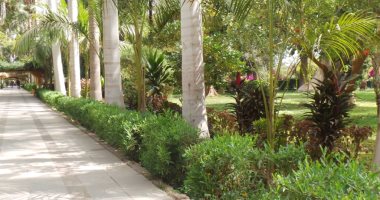 شاهد.. "الحديقة النباتية" أبرز المقاصد السياحية فى أسوان