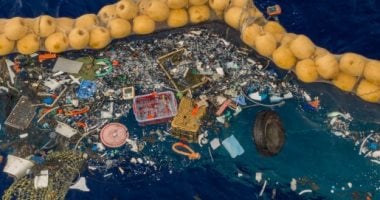 العثور على سلاحف بحرية نافقة بكوريا الجنوبية بسبب تناولها مخلفات البلاستيك