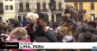 فيديو.. مباركة كنيسة كاثوليكية للحيوانات فى البيرو
